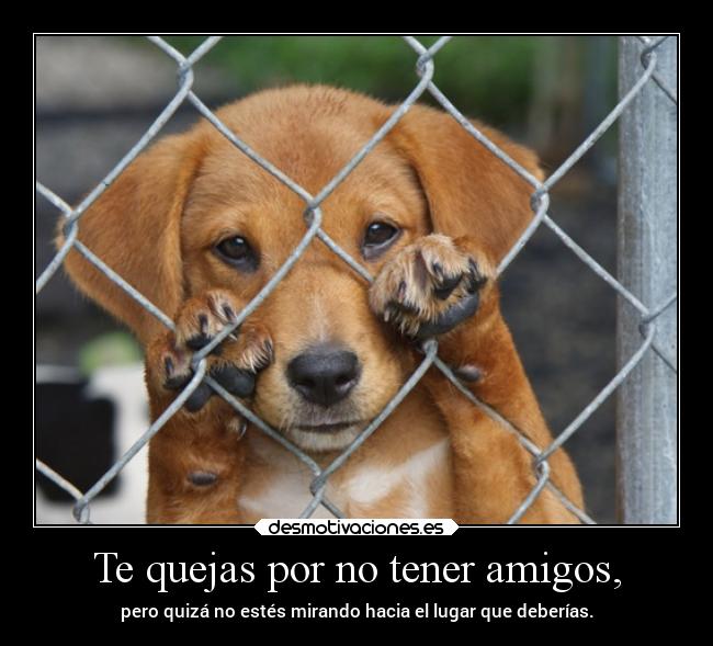 Te quejas por no tener amigos, - 
