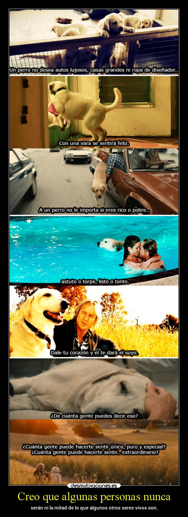 Creo que algunas personas nunca -