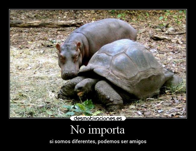 No importa - 