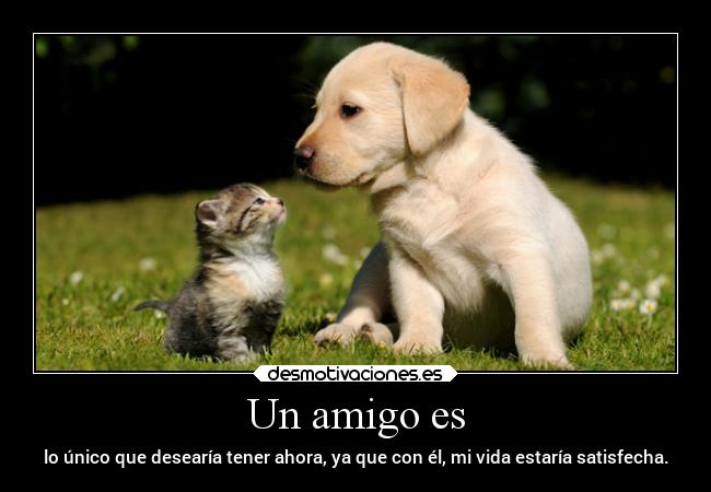 carteles amistad desmotivaciones