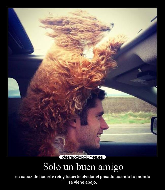 Solo un buen amigo - 