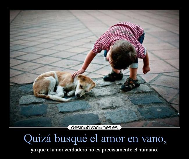 Quizá busqué el amor en vano, - 