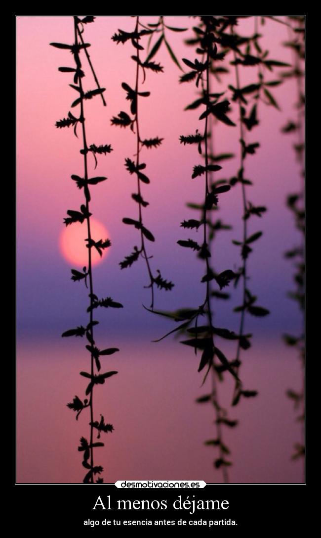 carteles amor dalyami reflexiones perfumedepiel desmotivaciones