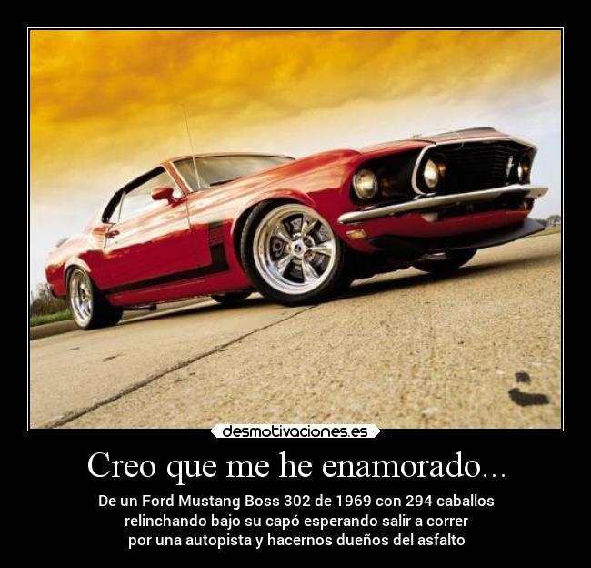 carteles amor das coches fordmustangboss3021969 desmotivaciones