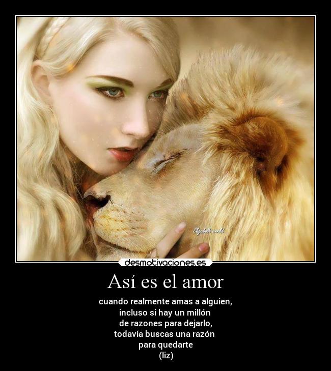 Así es el amor - cuando realmente amas a alguien,
incluso si hay un millón
de razones para dejarlo,
todavía buscas una razón
para quedarte
(liz)