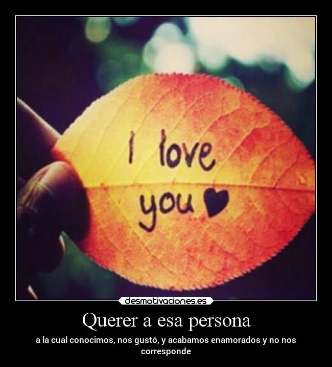 carteles amor desmotivaciones