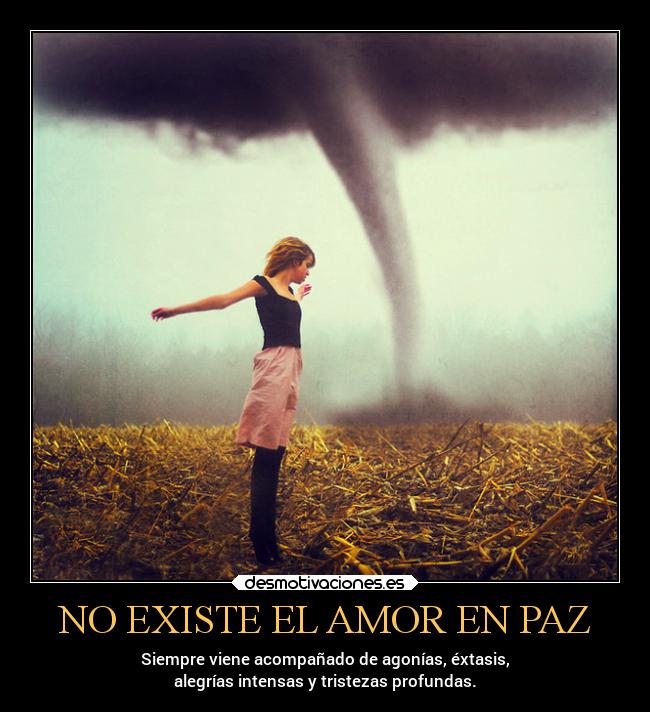 carteles amor amor desmotivaciones