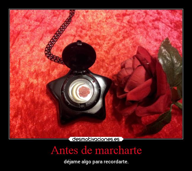 Antes de marcharte - déjame algo para recordarte.