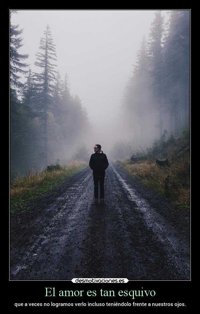 El amor es tan esquivo - 