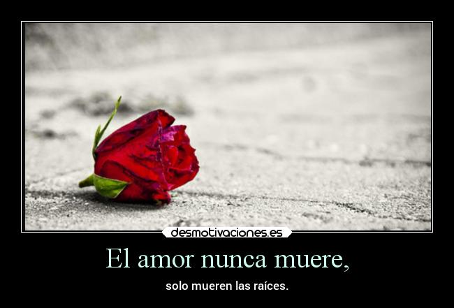 El amor nunca muere, -