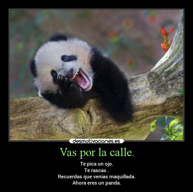 Vas por la calle. - Te pica un ojo.
Te rascas .
Recuerdas que venias maquillada.
Ahora eres un panda.