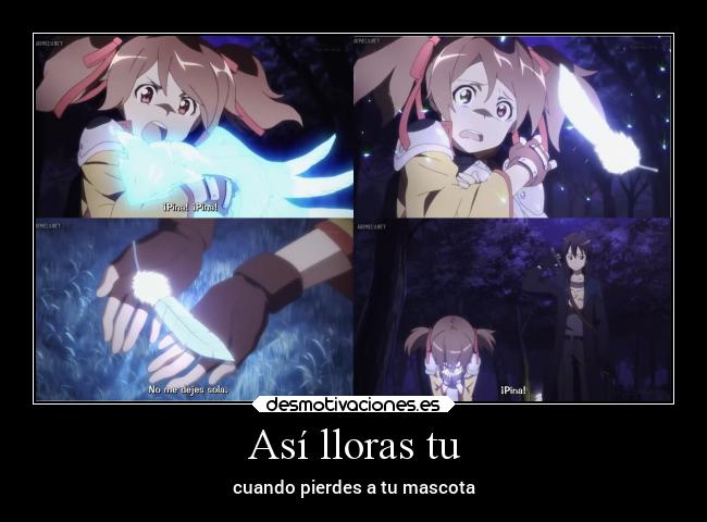 Así lloras tu - cuando pierdes a tu mascota