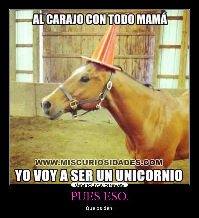 carteles animales caballo unicornios senos hipocresia desmotivaciones