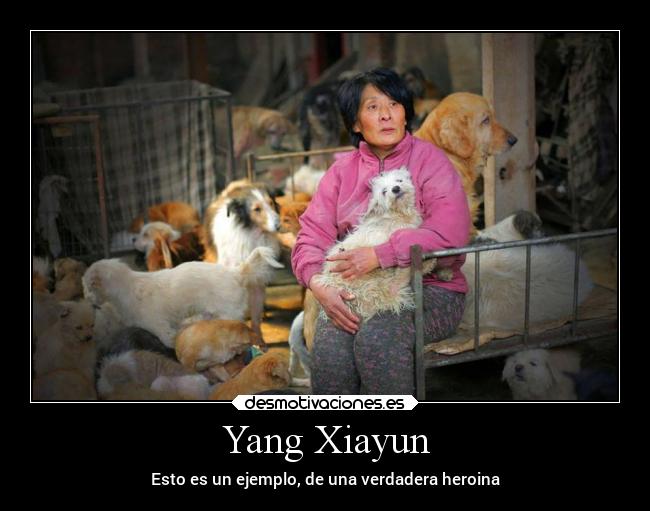 Yang Xiayun - Esto es un ejemplo, de una verdadera heroina