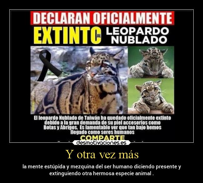 Y otra vez más - la mente estúpida y mezquina del ser humano diciendo presente y
extinguiendo otra hermosa especie animal .
