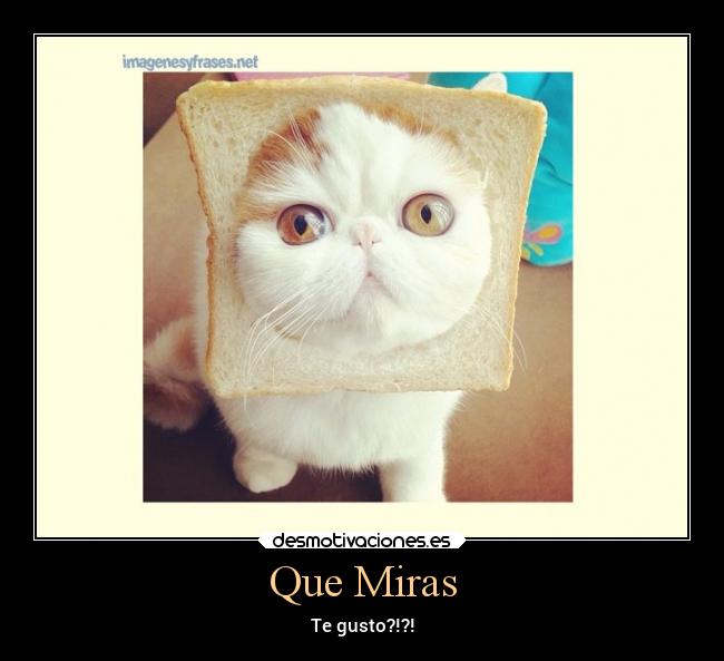Que Miras - Te gusto?!?!