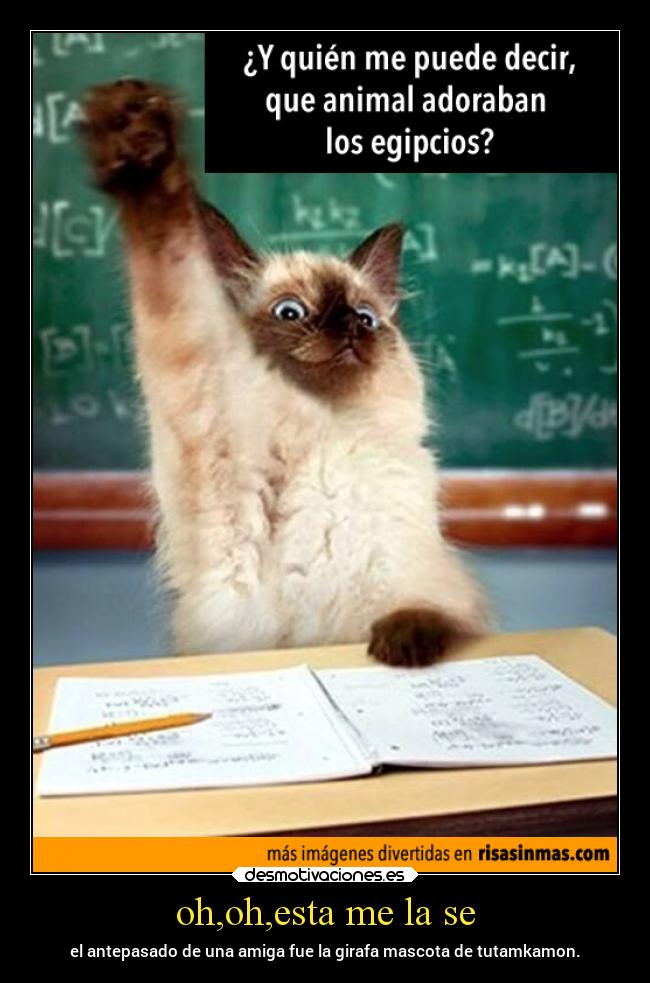 oh,oh,esta me la se -