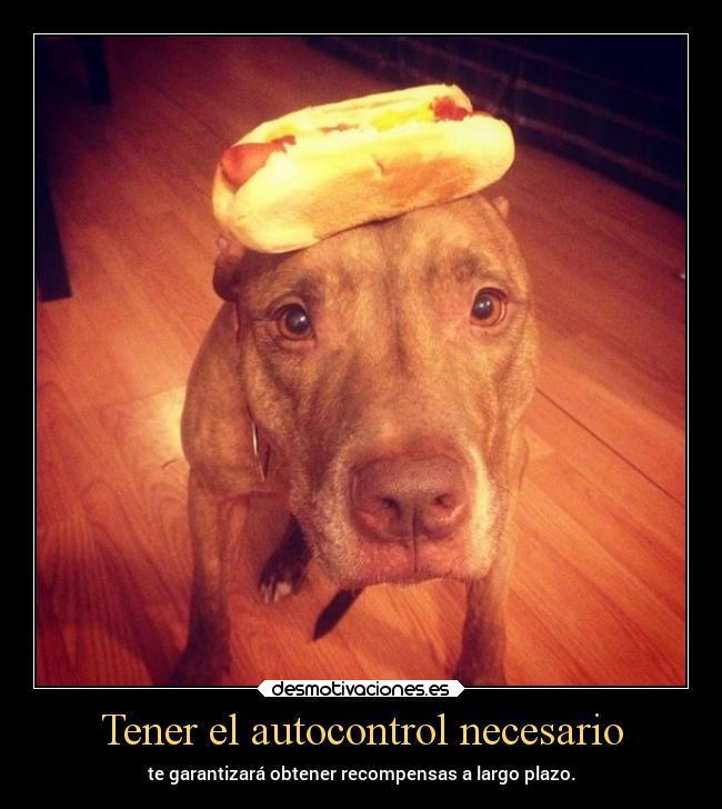 Tener el autocontrol necesario -