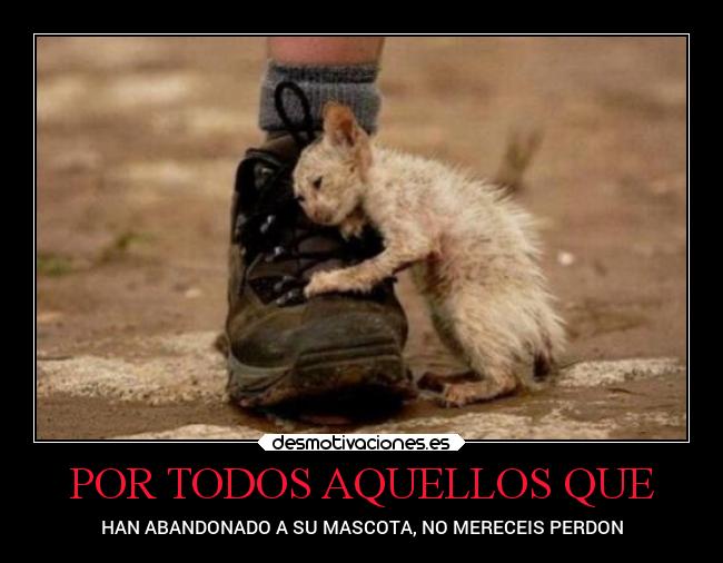 POR TODOS AQUELLOS QUE -