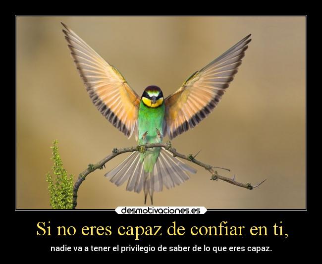 Si no eres capaz de confiar en ti, -