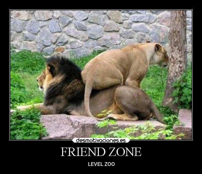 FRIEND ZONE - LEVEL ZOO