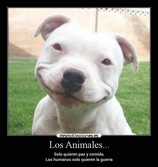 Los Animales... - Solo quieren paz y comida.
Los humanos solo quieren la guerra