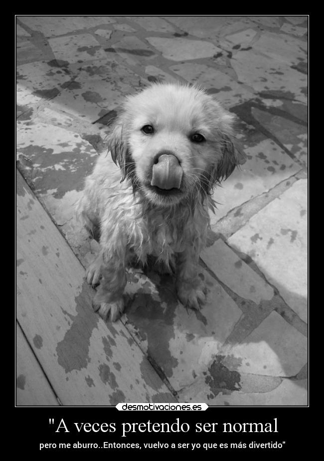 A veces pretendo ser normal - pero me aburro..Entonces, vuelvo a ser yo que es más divertido