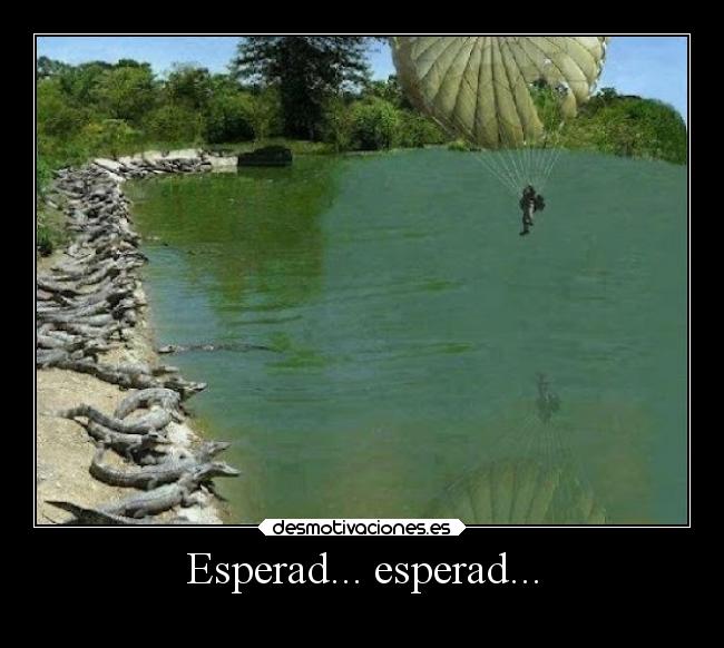 Esperad... esperad... - 