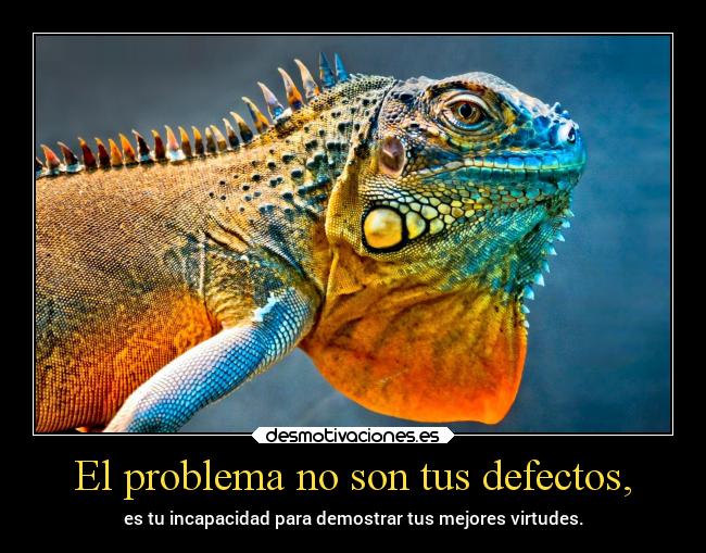 El problema no son tus defectos, -