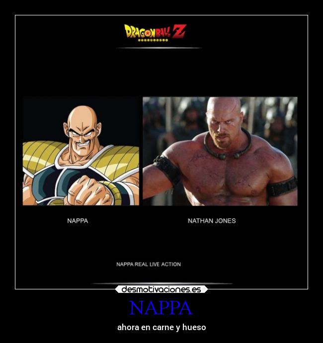 NAPPA - ahora en carne y hueso