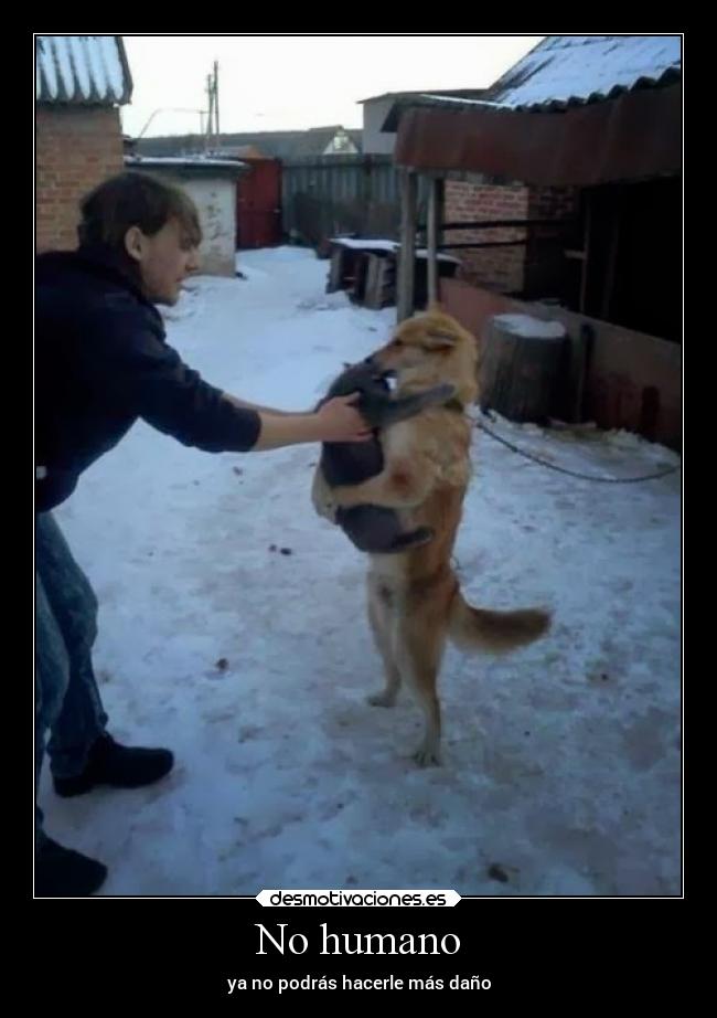 No humano - ya no podrás hacerle más daño