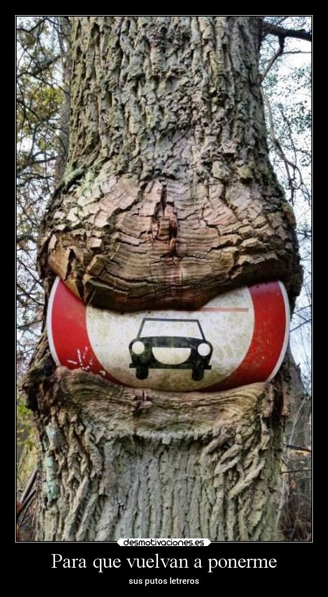 Para que vuelvan a ponerme - sus putos letreros