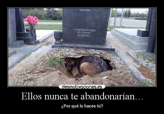 Ellos nunca te abandonarían… - ¿Por qué lo haces tú?