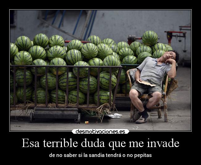 carteles ayuda joder quiero sandia desmotivaciones