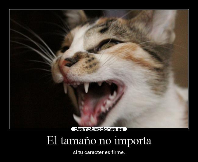 carteles caracter desmotivaciones