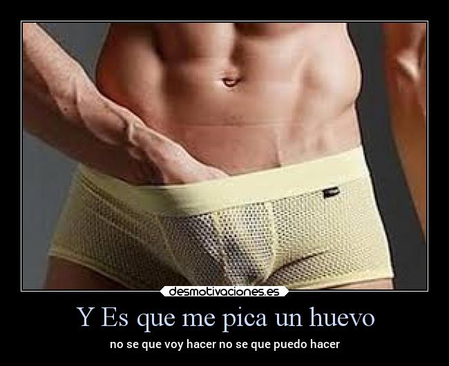 Y Es que me pica un huevo - no se que voy hacer no se que puedo hacer