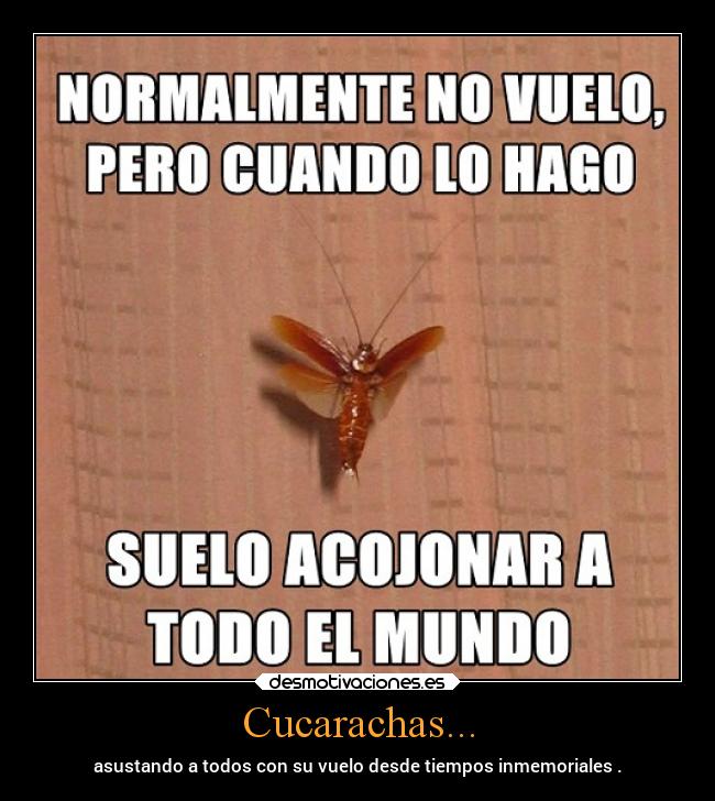Cucarachas... - asustando a todos con su vuelo desde tiempos inmemoriales .