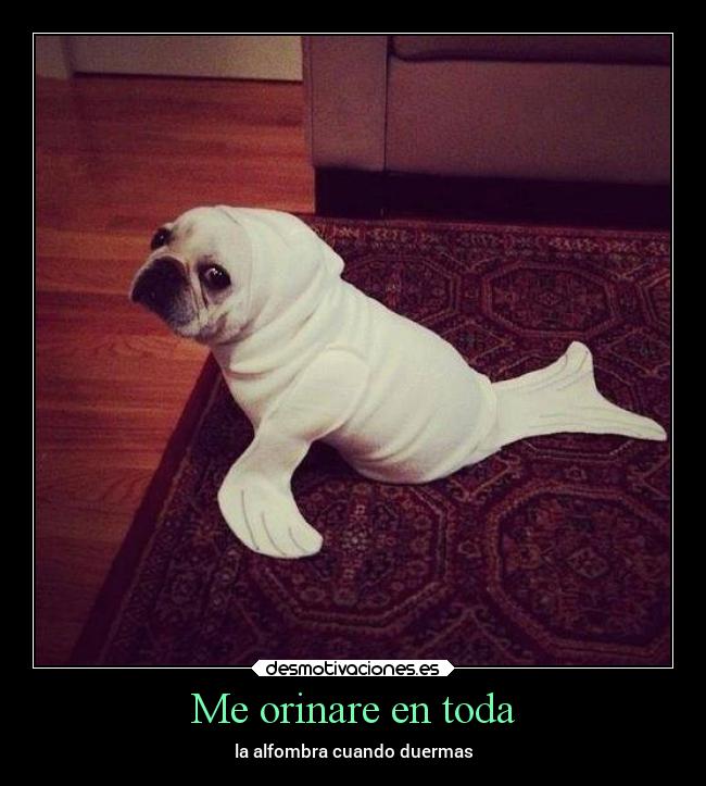 Me orinare en toda -