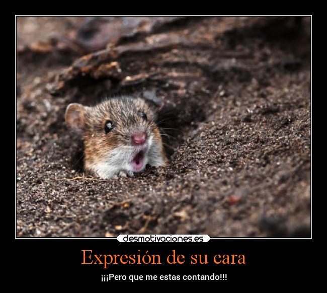 Expresión de su cara - ¡¡¡Pero que me estas contando!!!