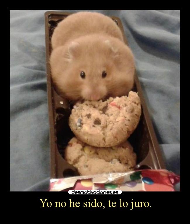 Yo no he sido, te lo juro. -