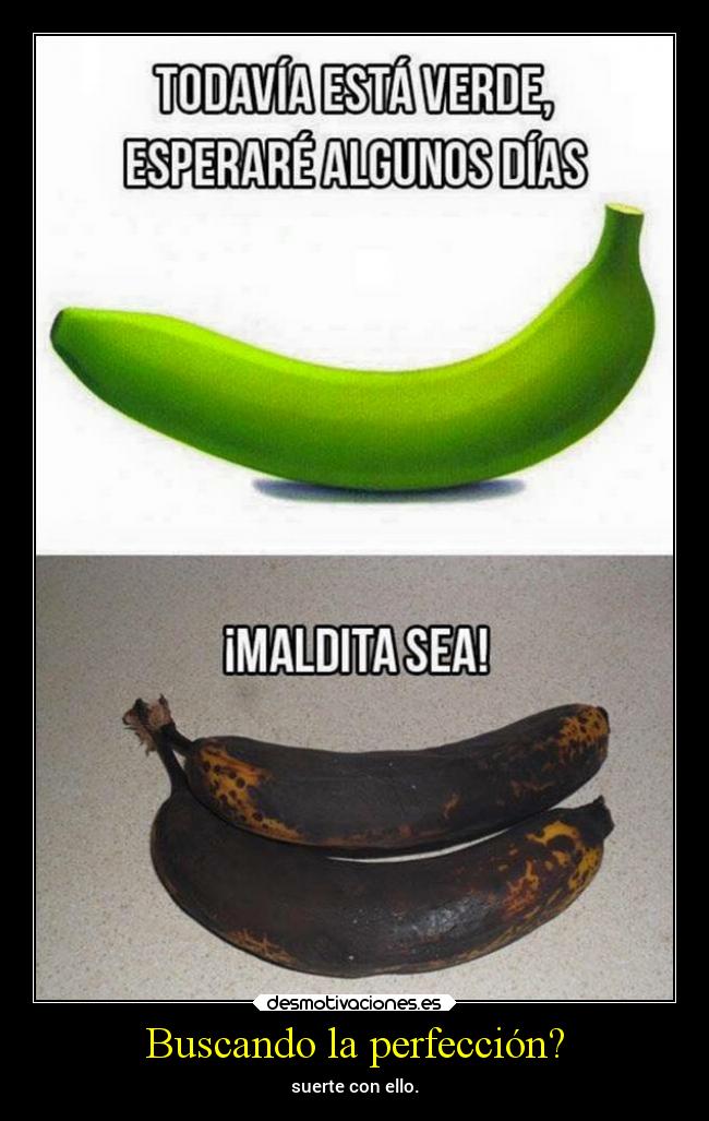 Buscando la perfección? - suerte con ello.