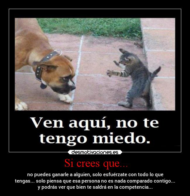 carteles confianza competicion desmotivaciones