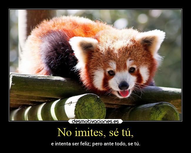 No imites, sé tú, -