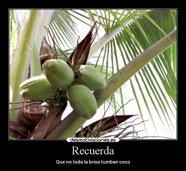 Recuerda -
