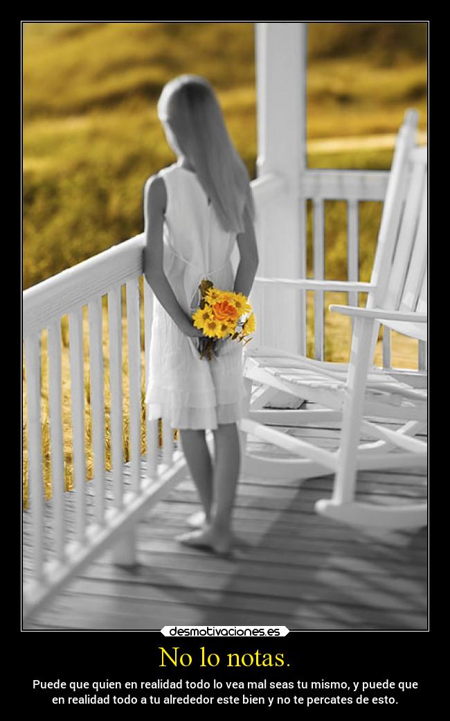 carteles criticas vida noloves distingues notas decepcion desmotivaciones