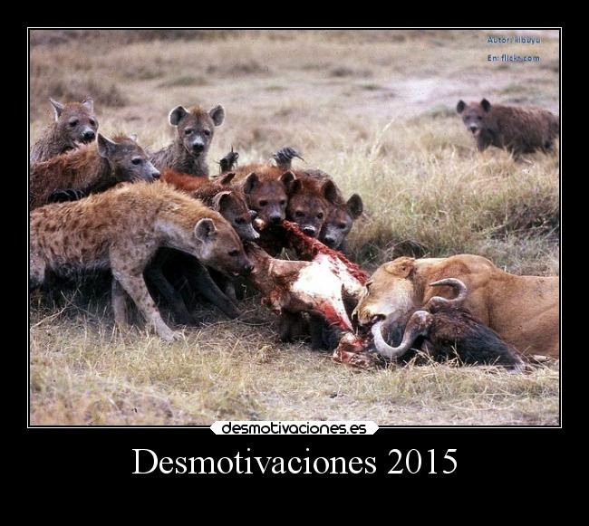 Desmotivaciones 2015 -