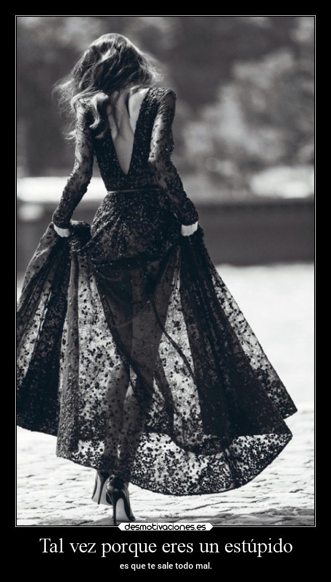 Tal vez porque eres un estúpido - 