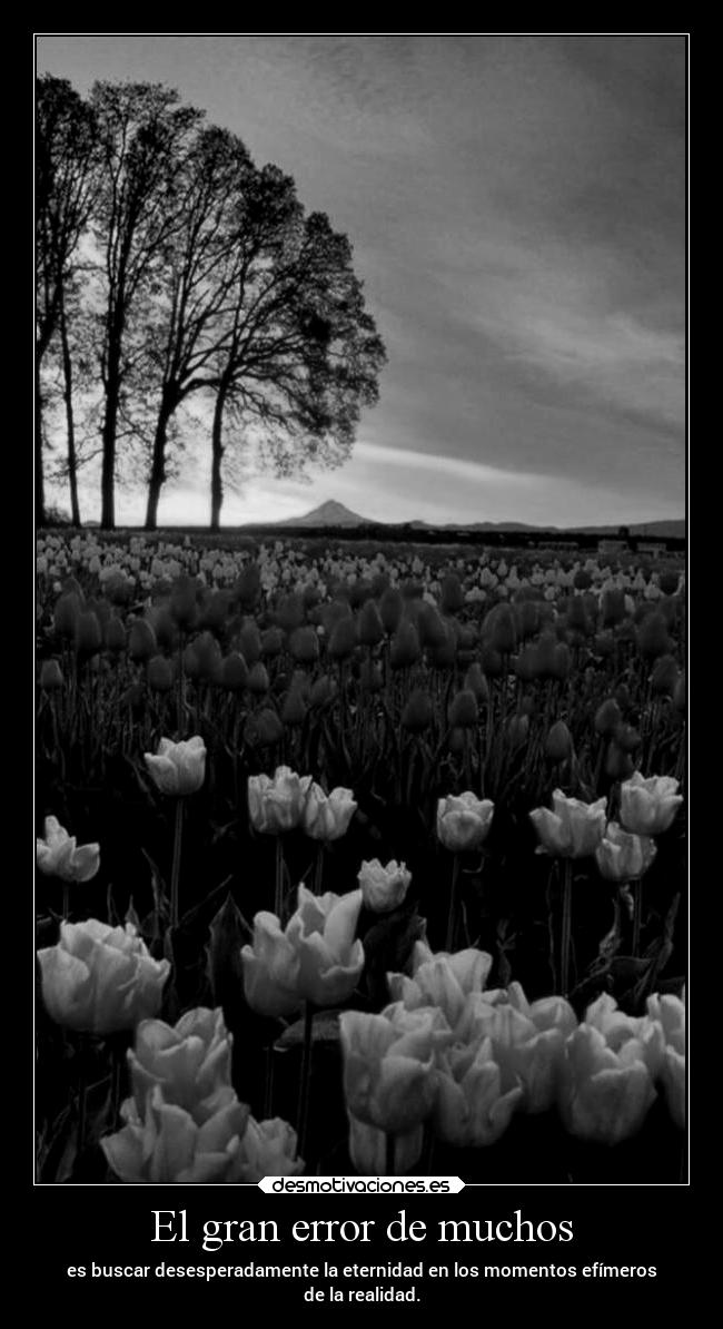 El gran error de muchos -