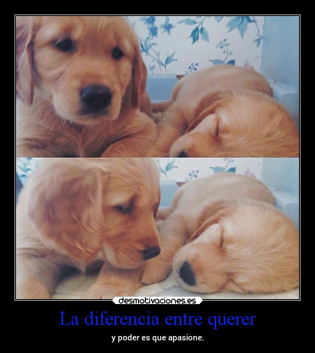 La diferencia entre querer - 