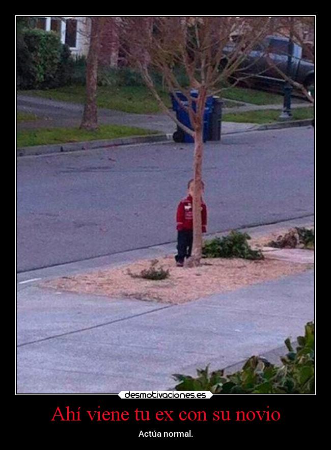 carteles desmotivaciones graciosas tonto humor tonteriasde malescondite projectd desmotivaciones